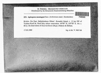 Image Associated With the Occurrence